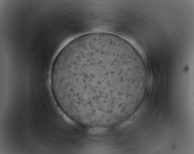 X0000102861294200809021416