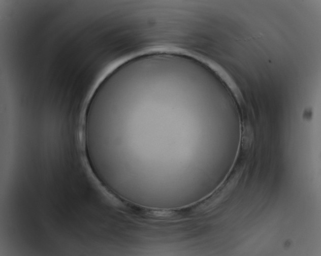 X0000102861295200809021416