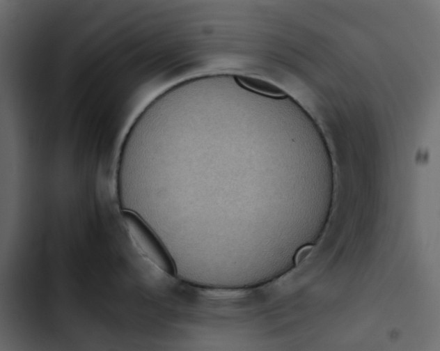 X0000102861296200809021416