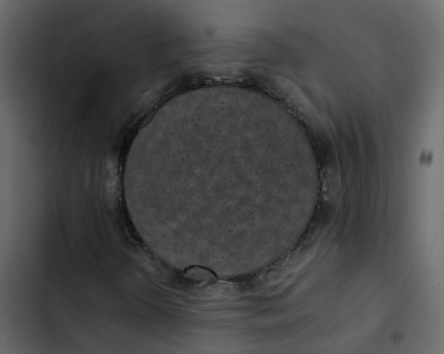 X0000102861298200809021415