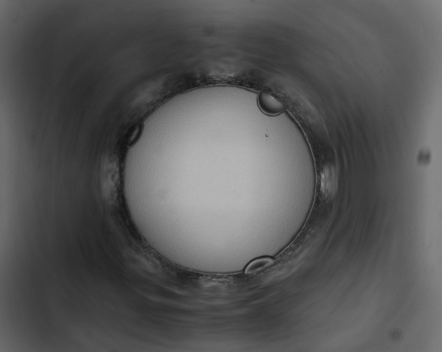 X0000102861299200809021415