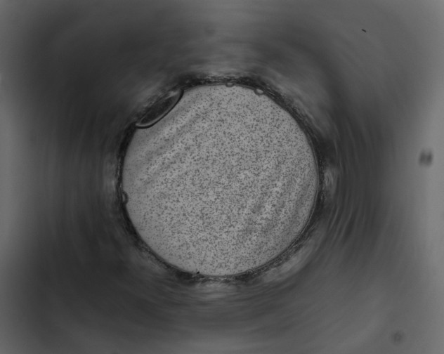 X0000102861300200809021415