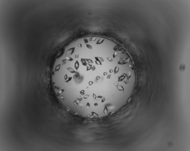 X0000102861301200809021415