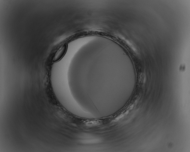 X0000102861303200809021415