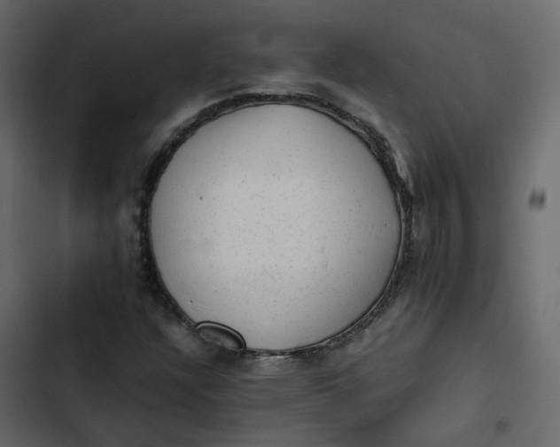 X0000102861304200809021415