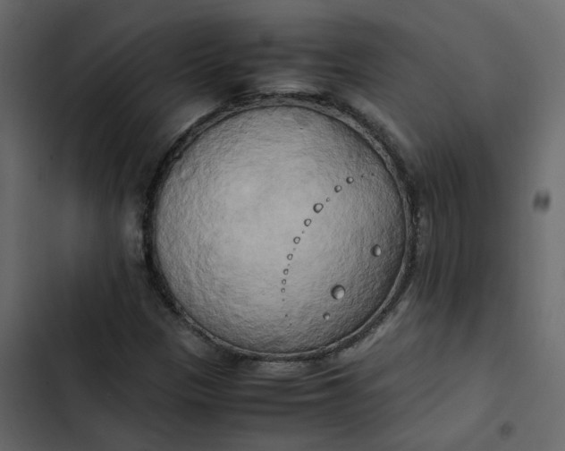 X0000102861305200809021415