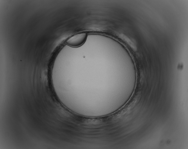 X0000102861307200809021415