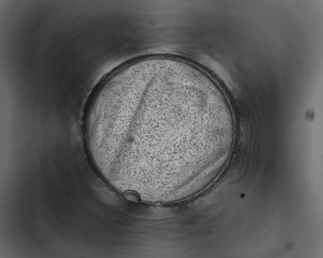 X0000102861308200809021415