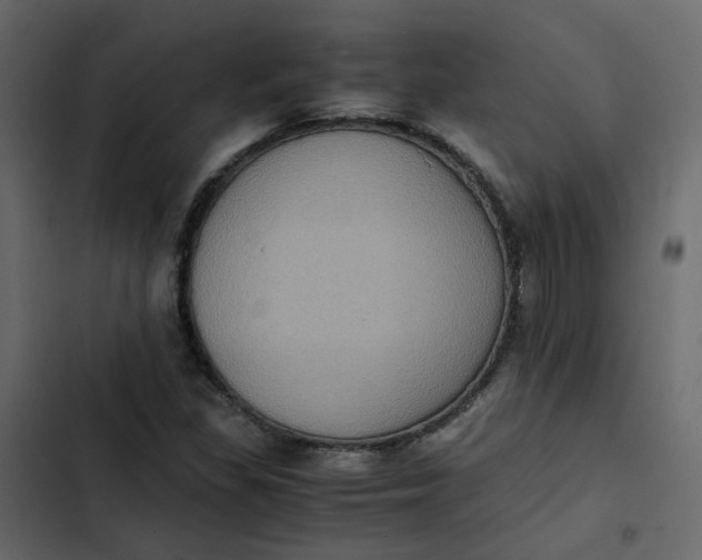 X0000102861309200809021415