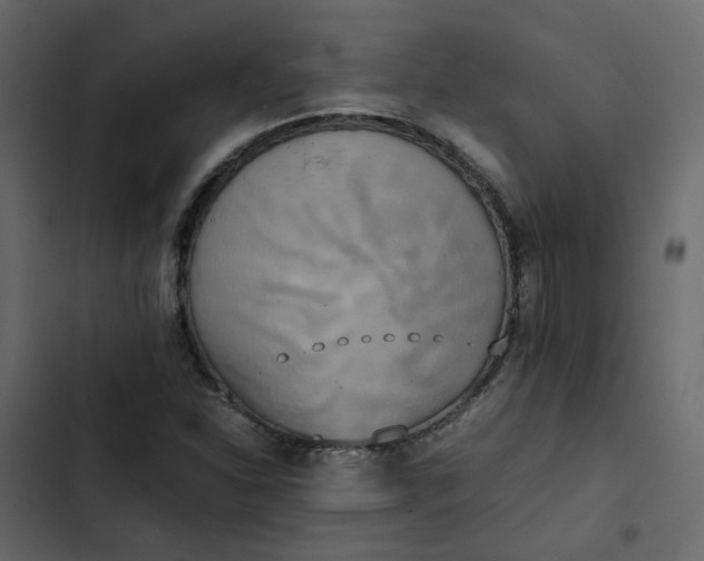 X0000102861310200809021415