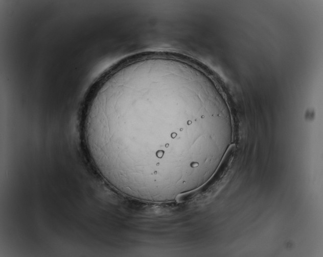 X0000102861311200809021415