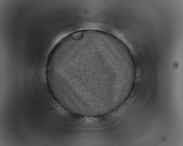 X0000102861312200809021415