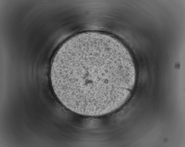 X0000102861314200809021415