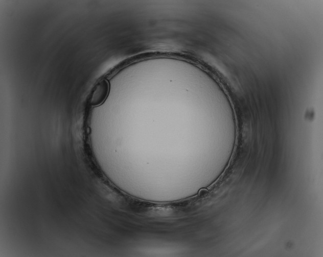 X0000102861315200809021415