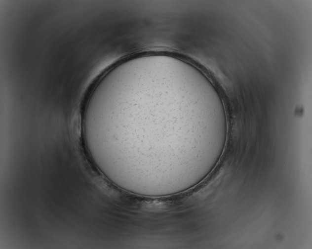 X0000102861317200809021415