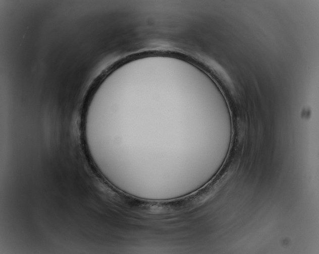 X0000102861318200809021415