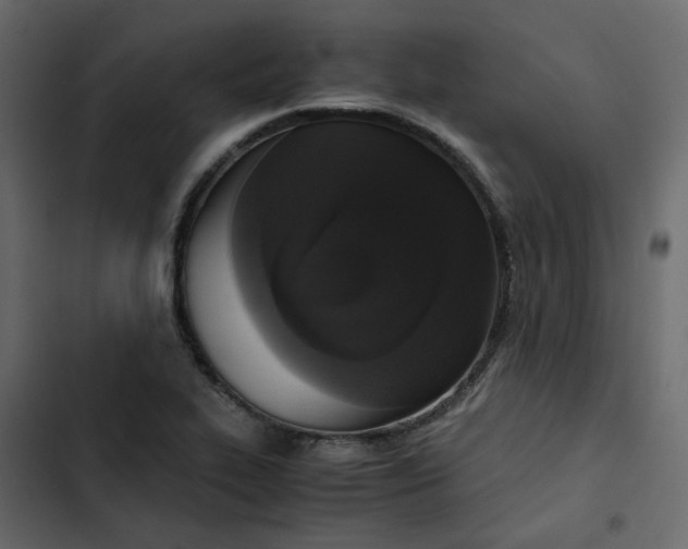 X0000102861319200809021415