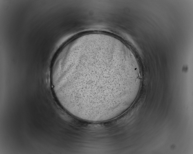 X0000102861320200809021415