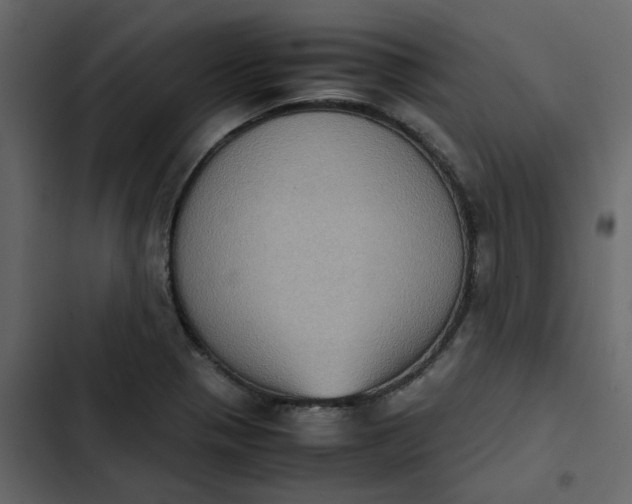 X0000102861321200809021415