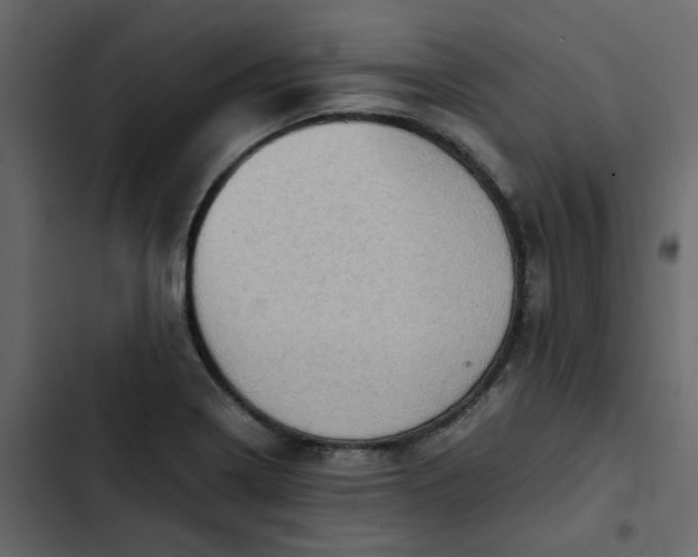 X0000102861322200809021415