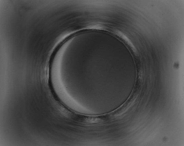 X0000102861323200809021415