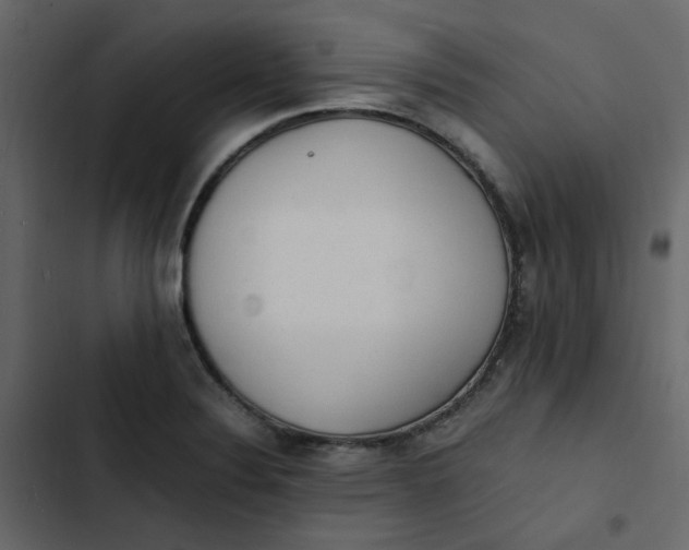 X0000102861324200809021415