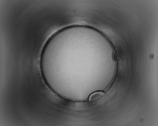 X0000102861326200809021415