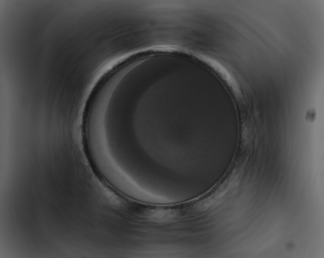 X0000102861327200809021415