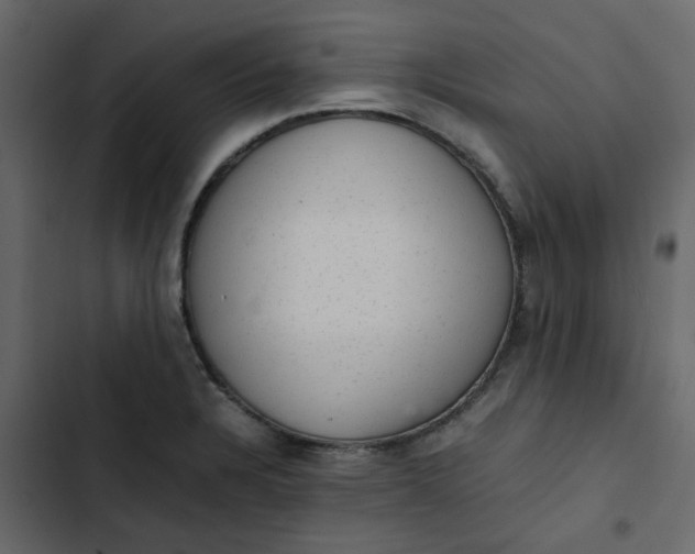 X0000102861328200809021415