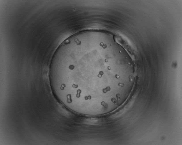 X0000102861329200809021415