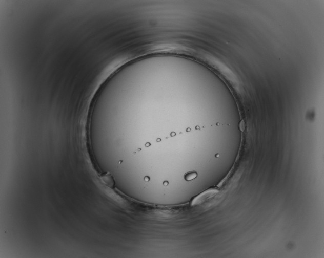 X0000102861330200809021415