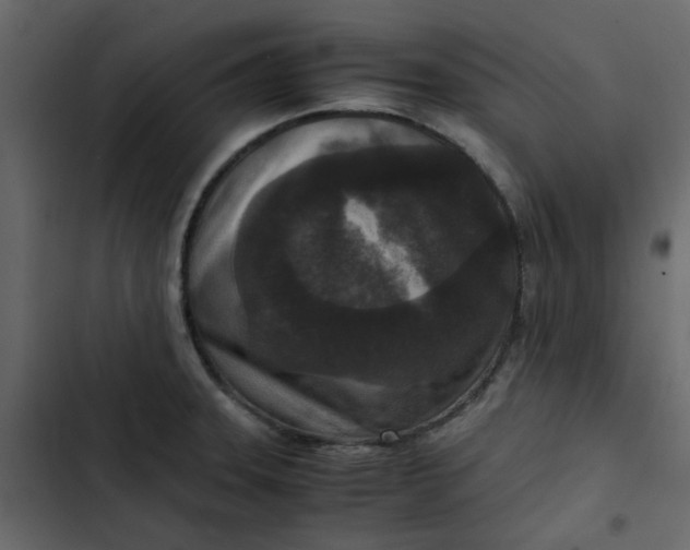 X0000102861331200809021415