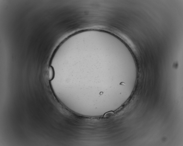 X0000102861332200809021415