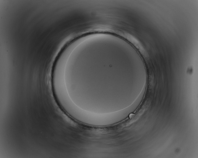 X0000102861334200809021415