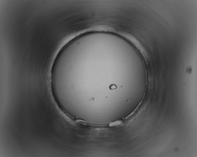 X0000102861335200809021415