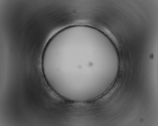 X0000102861336200809021415