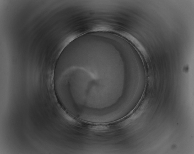 X0000102861337200809021415