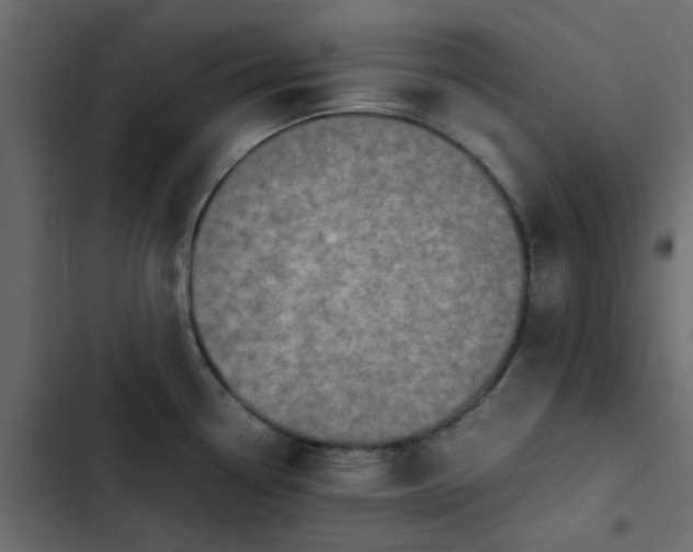 X0000102861338200809021416