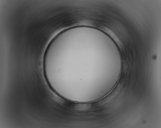 X0000102861339200809021416