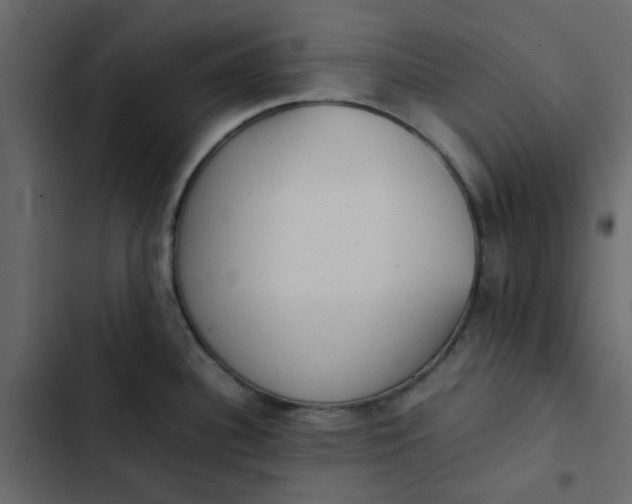 X0000102861340200809021416