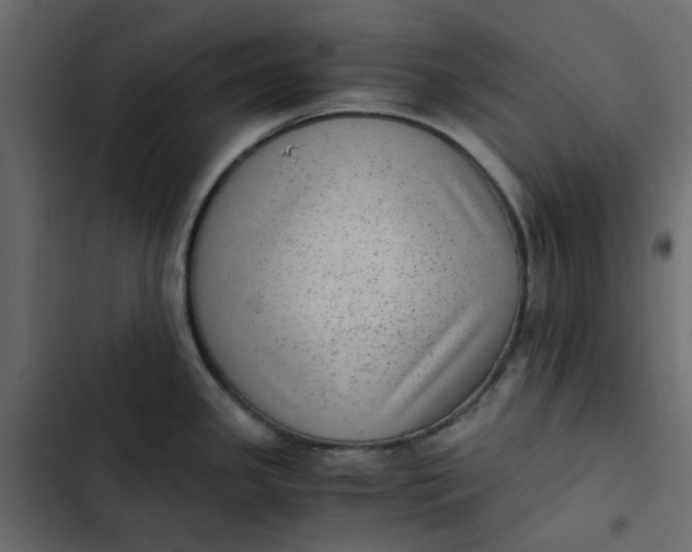 X0000102861341200809021416