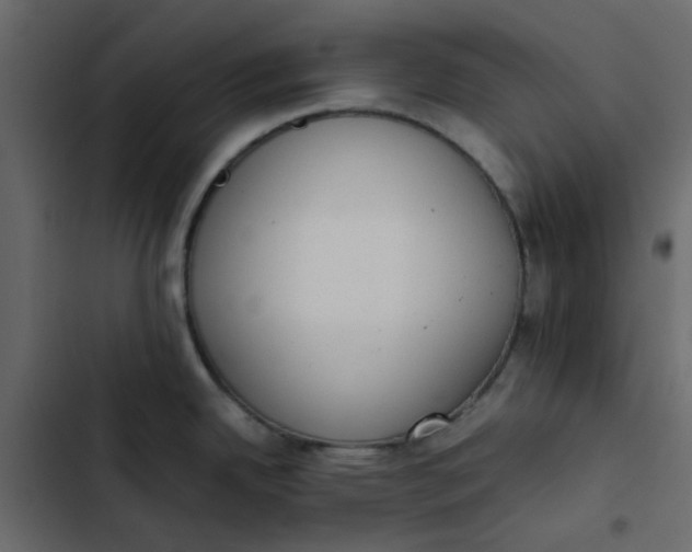 X0000102861342200809021416