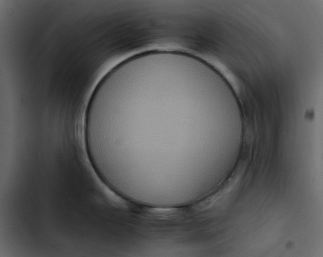 X0000102861343200809021416