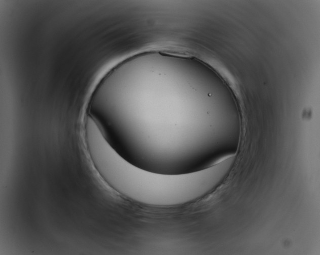 X0000102861344200809021416