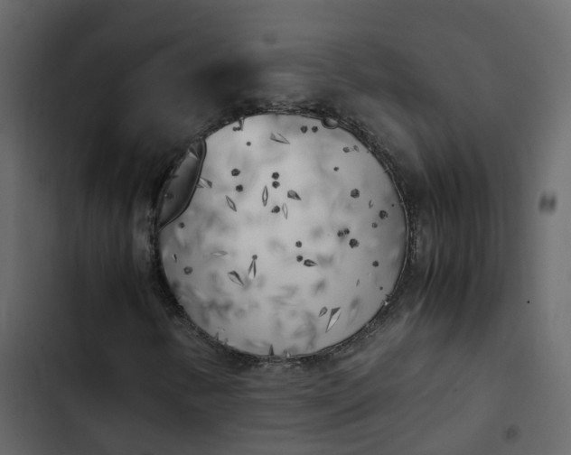 X0000102861346200809021415