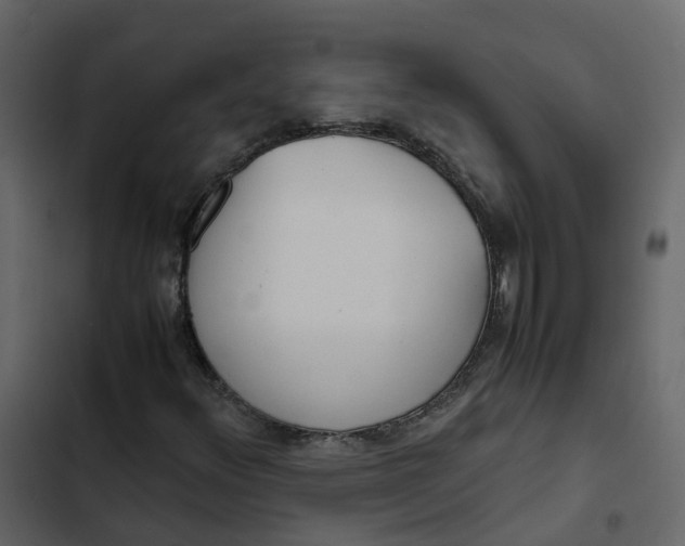 X0000102861348200809021415