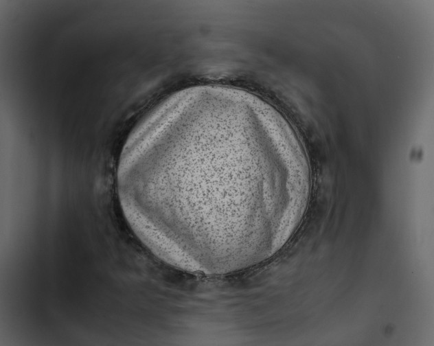 X0000102861349200809021415