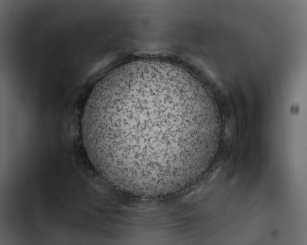 X0000102861350200809021415