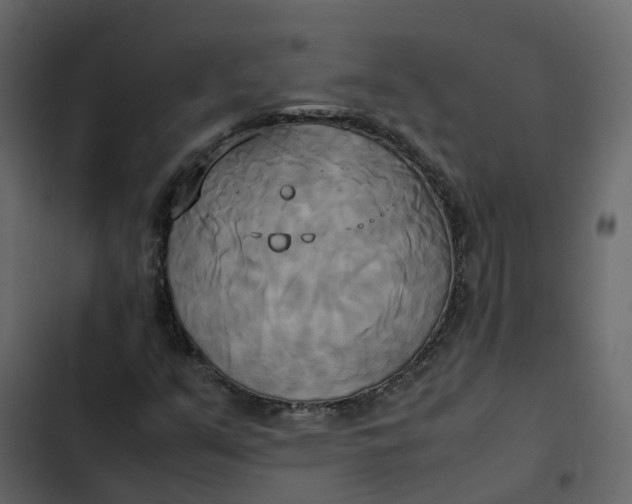 X0000102861351200809021415