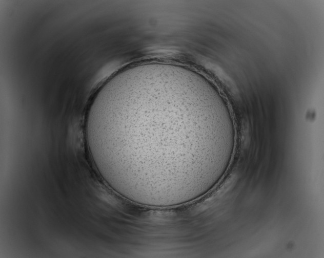 X0000102861354200809021415